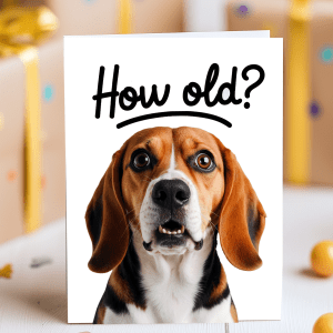 Surprised beagle face with "How old?" caption on white background